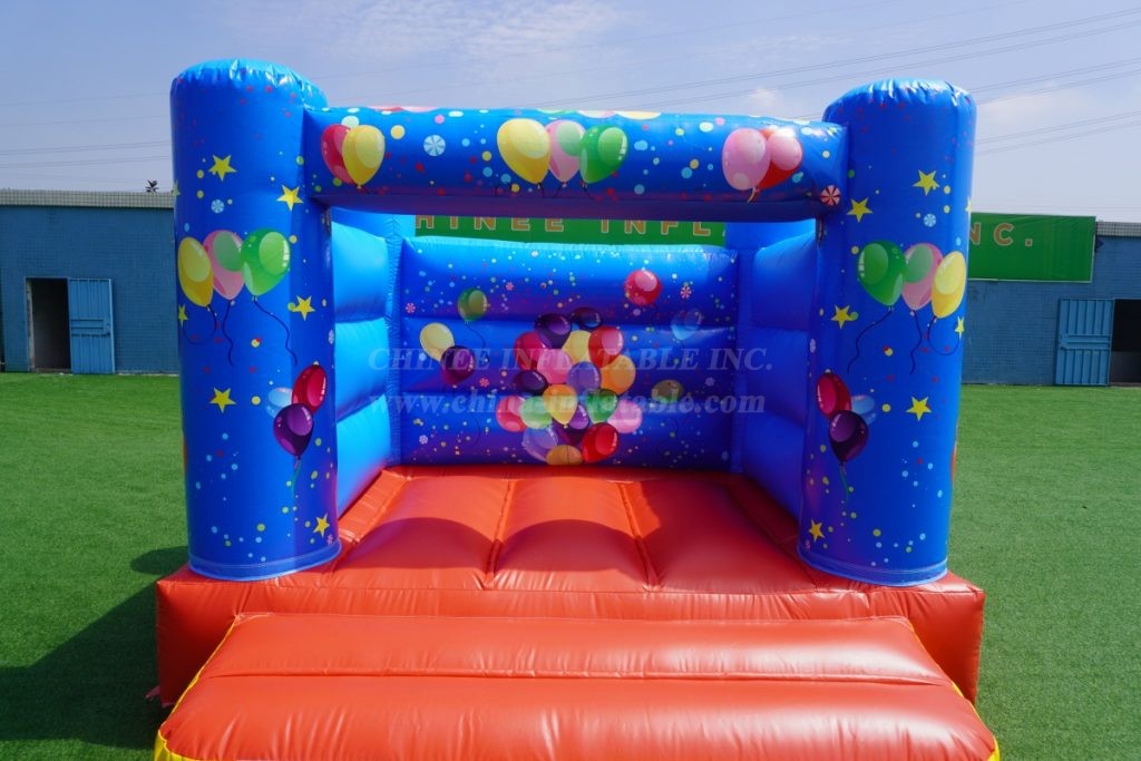 T2-1201 Birthday Bouncer