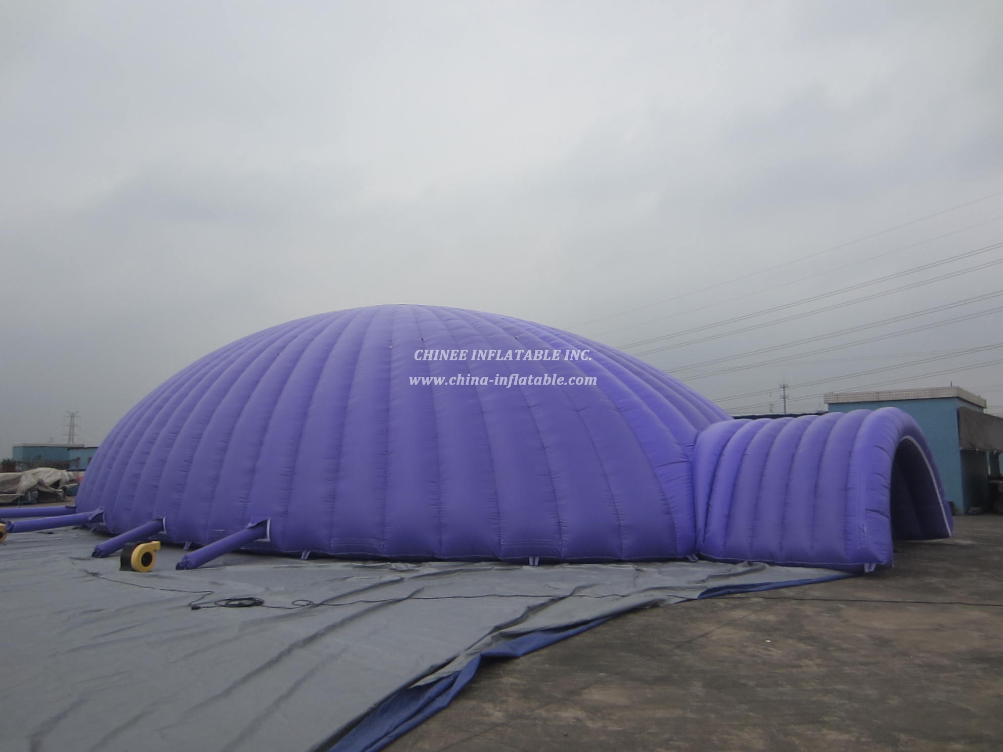 Tent1-501 Giant Purple Inflatable Tent